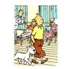 Livres - Papeterie Tintin | Chemise Plastique Tintin A4-Tintin En Promenade